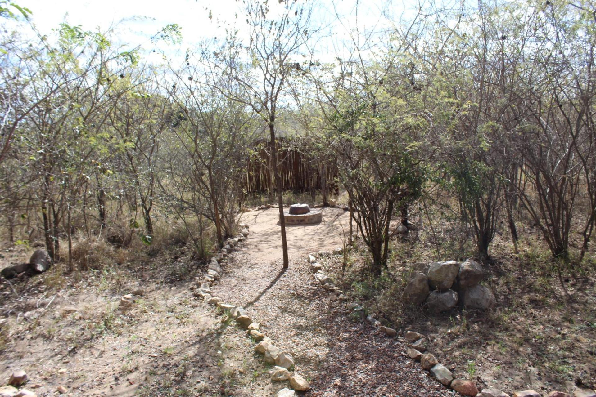 Mjejane Bush Camp By Dream Resorts Hectorspruit Zewnętrze zdjęcie