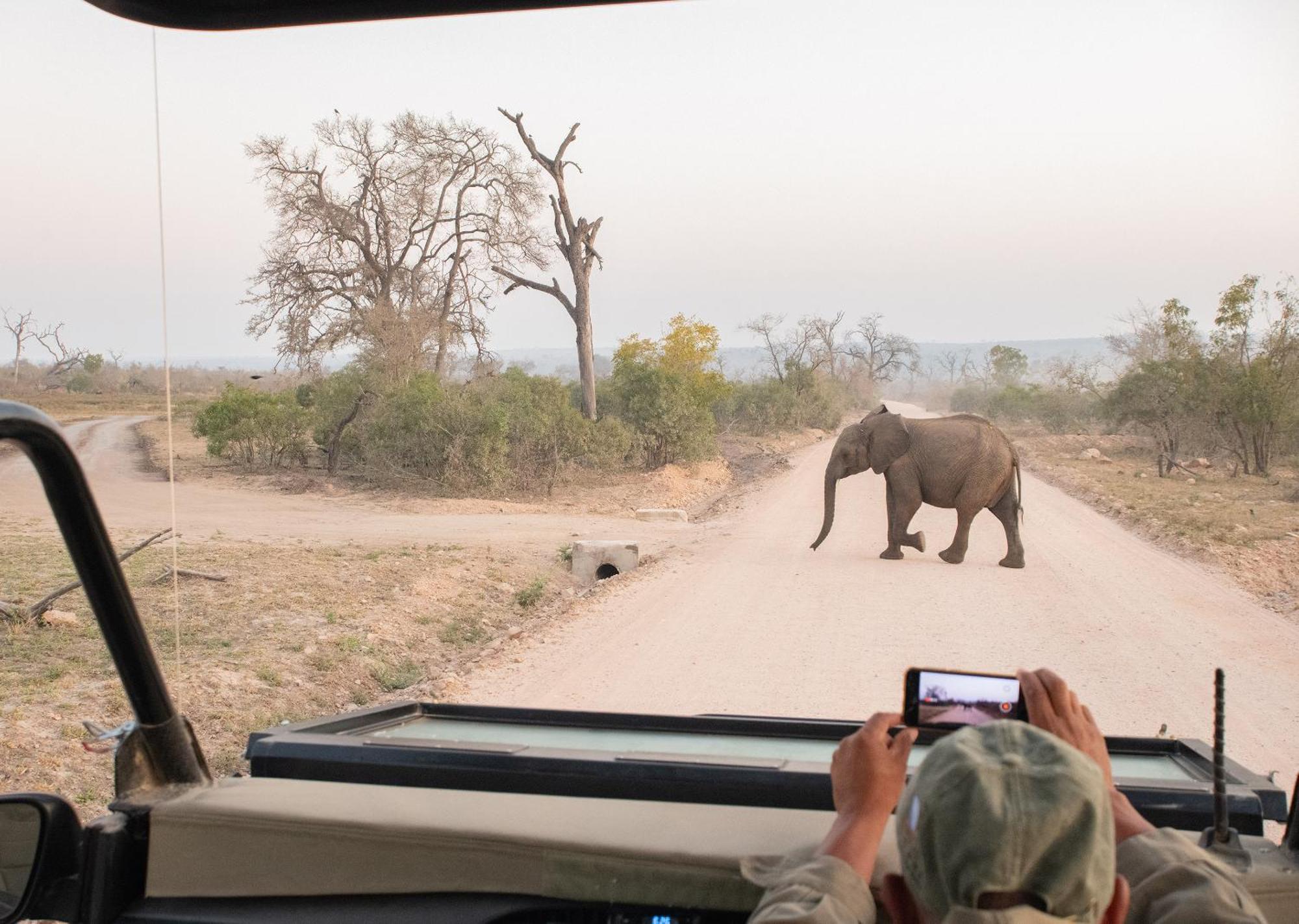 Mjejane Bush Camp By Dream Resorts Hectorspruit Zewnętrze zdjęcie