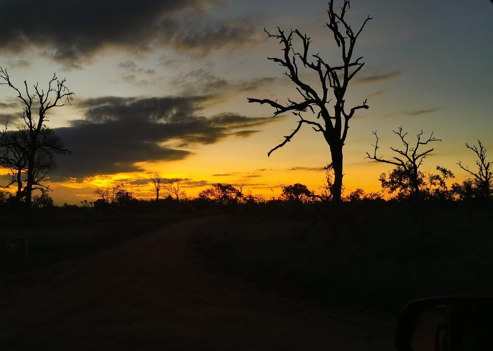 Mjejane Bush Camp By Dream Resorts Hectorspruit Zewnętrze zdjęcie