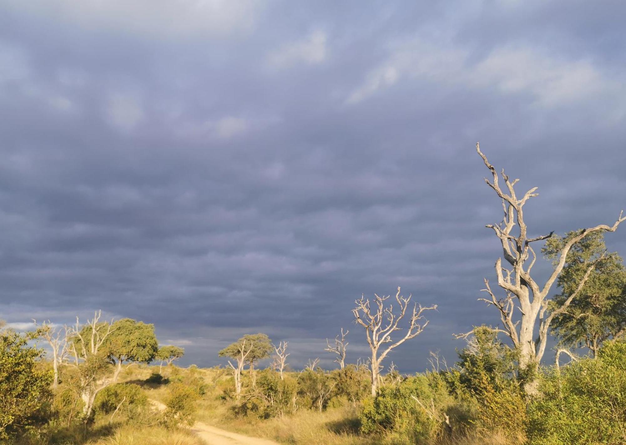 Mjejane Bush Camp By Dream Resorts Hectorspruit Zewnętrze zdjęcie