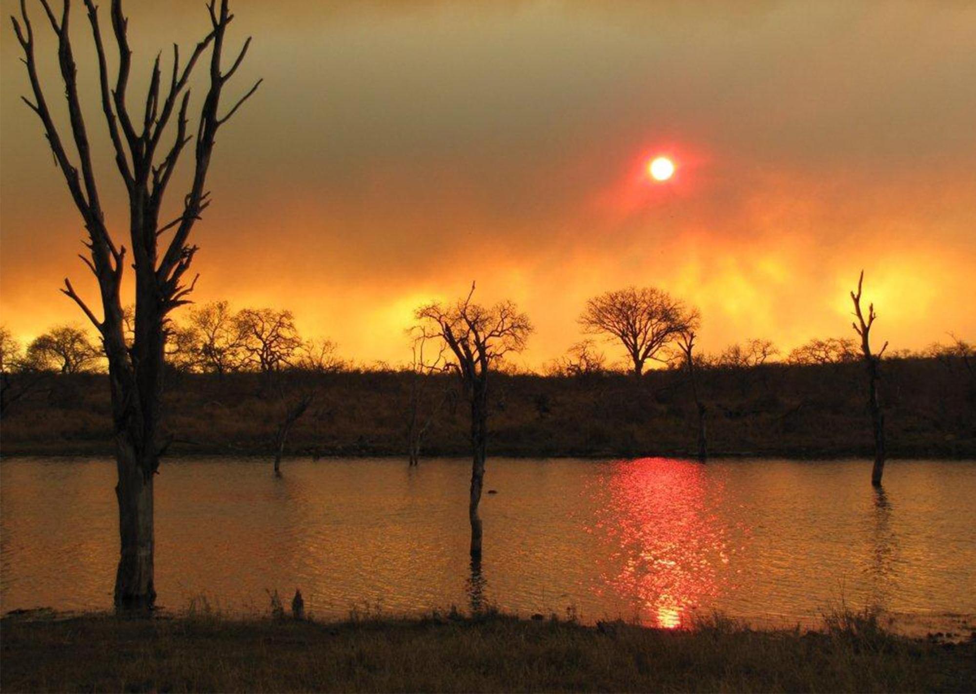 Mjejane Bush Camp By Dream Resorts Hectorspruit Zewnętrze zdjęcie