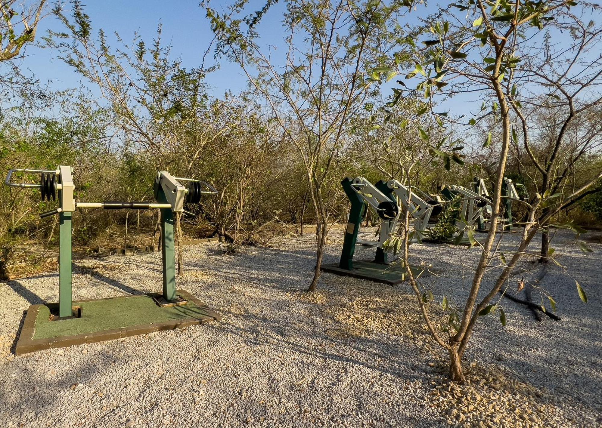 Mjejane Bush Camp By Dream Resorts Hectorspruit Zewnętrze zdjęcie